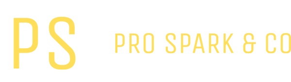 logo img