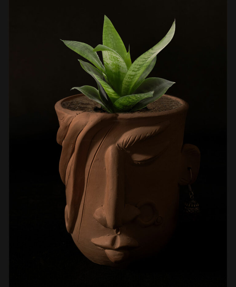 nari planter 768x934
