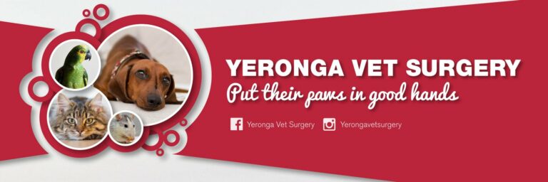 yeronga vet 768x256