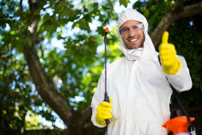Ants Eco Pest Control 768x512
