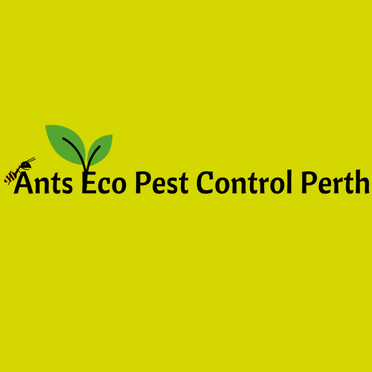 Ants Eco Pest Control Perth 768x768