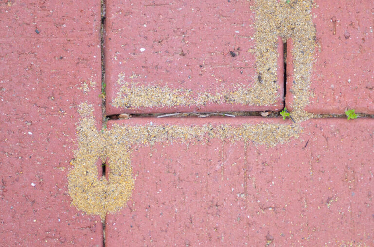 Damaged Red Brick Pavement 768x508
