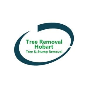 Tree Removal Hobart 1