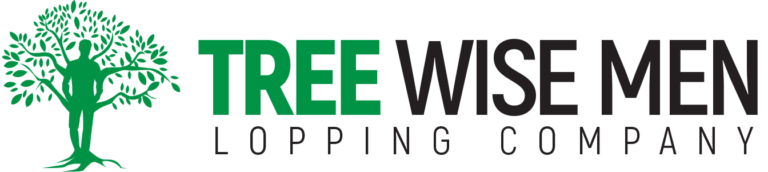 Treewisemen logo 768x172
