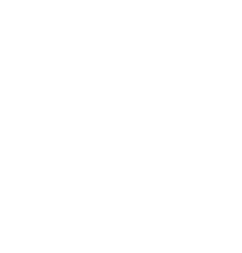 logoWhite