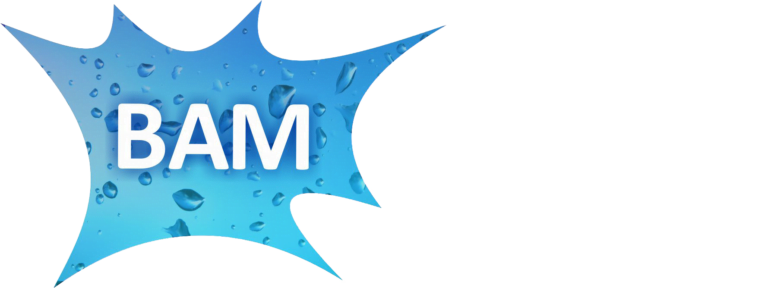BAM logo white 768x288