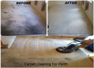 Carpet cleaning palmyra