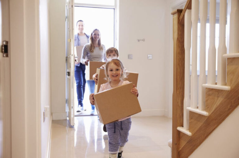 Removalist 768x508