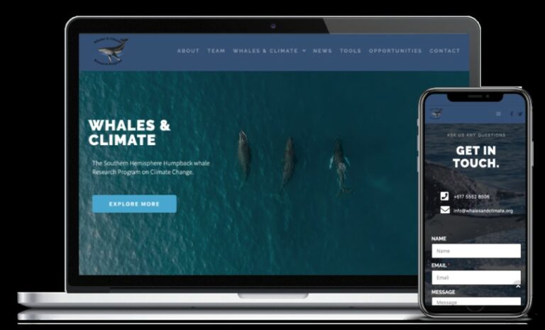 Web Design Kingscliff 768x466