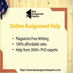 assignment experts