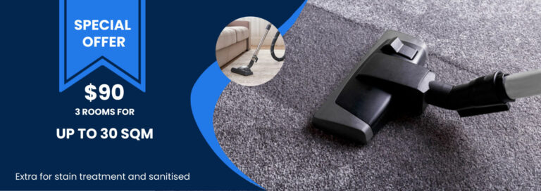 carpetcleaningbrighton com au 768x272