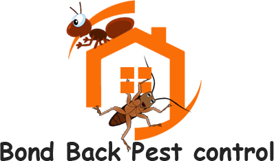 logo black