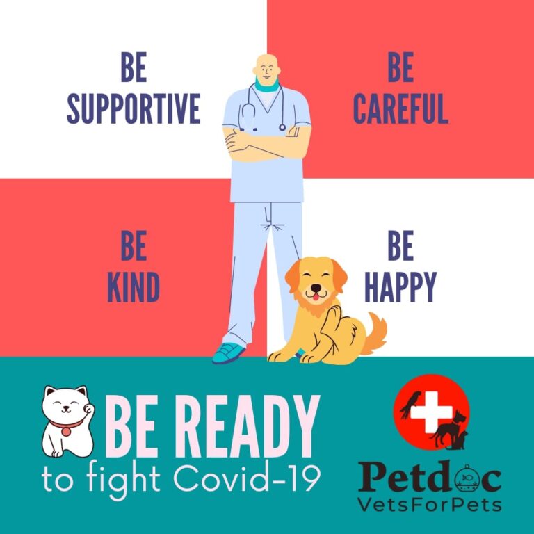 pet grooming services in hyderabad 768x768