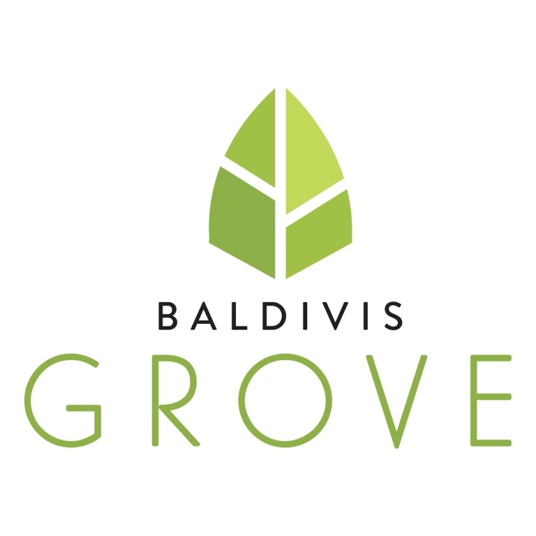 Baldivis logo 768x768