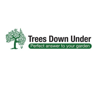 TREES DOWNUNDER DARK GREEN HORIZONTAL 350 1