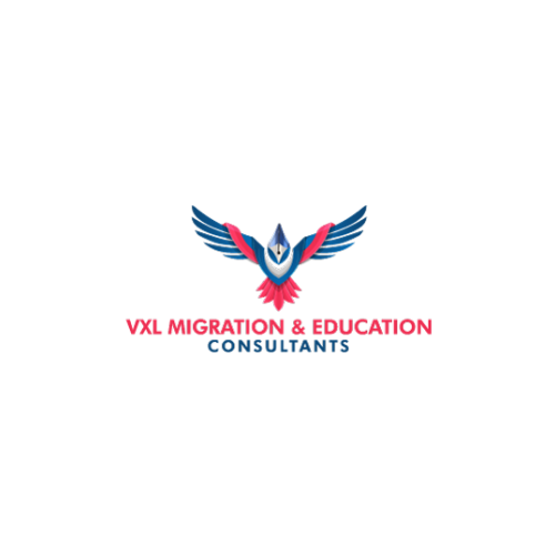 vxl migration and education consultants logo