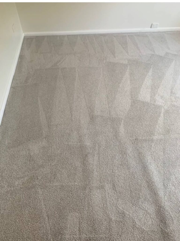 Carpet Cleaning Sydney Pros1 768x1026