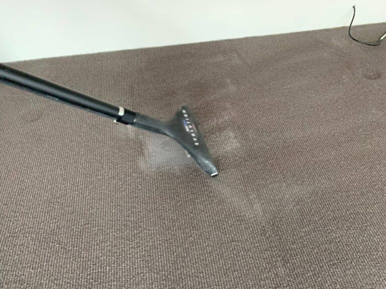 Carpet Cleaning Sydney Pros5 768x576