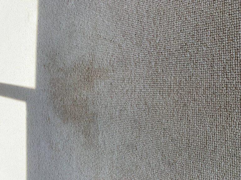 Carpet Cleaning Sydney Pros8 768x576