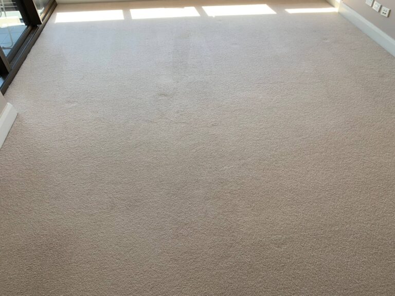 Carpet Cleaning Sydney Pros9 768x576