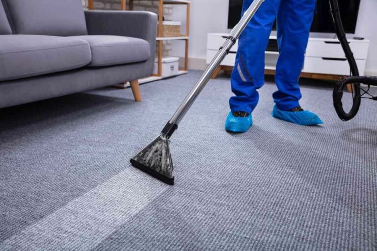 Dining Room Carpet Clean 1 768x512