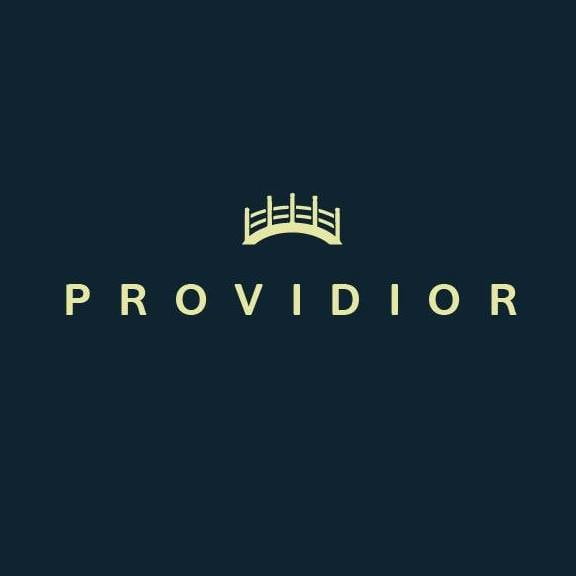Providior Logo 2