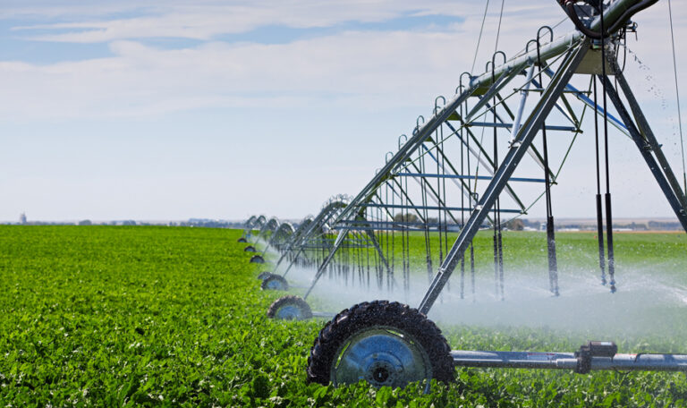 buying or selling irrigation licence 768x456
