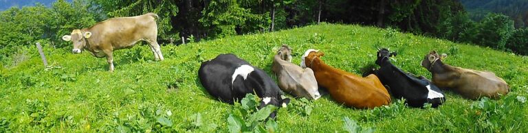 farm buying or selling 768x194