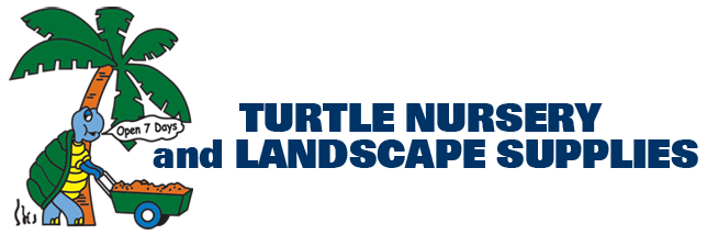 turtle logo