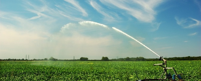 water licence buying or selling