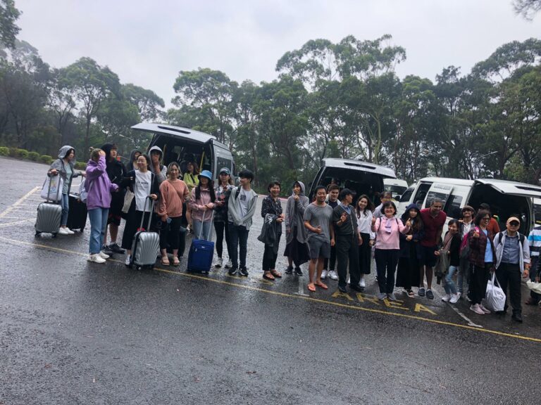 Group Transfer 768x576