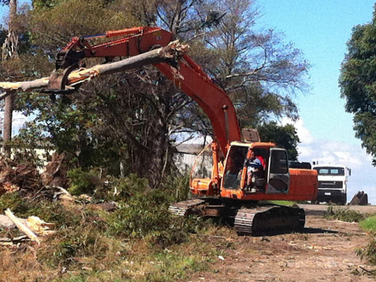 Tree Removal Melbourne Tree Removal Melbourne