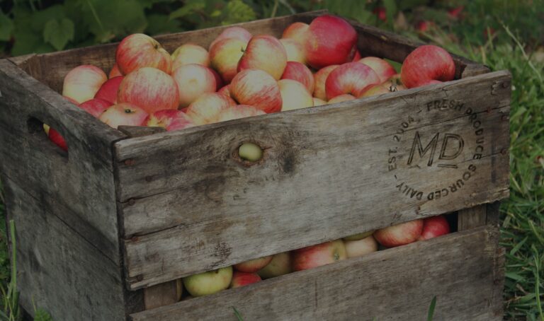 Wholesale Fruit and Veg Sydney MD Provodores 768x454