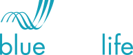 logo 17