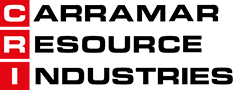 logo 25