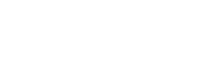 logo white 768x225