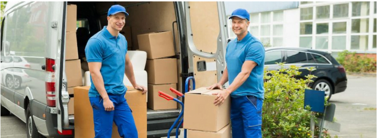 removalist 768x282