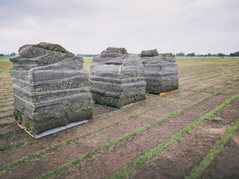 wholesale turf supplies sydney grechs banner 768x576