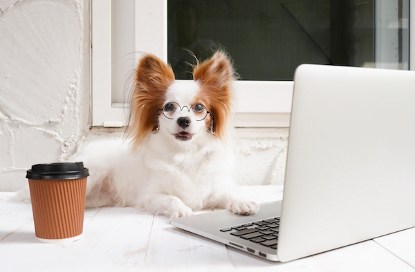 Large Hope SEO Training 600px