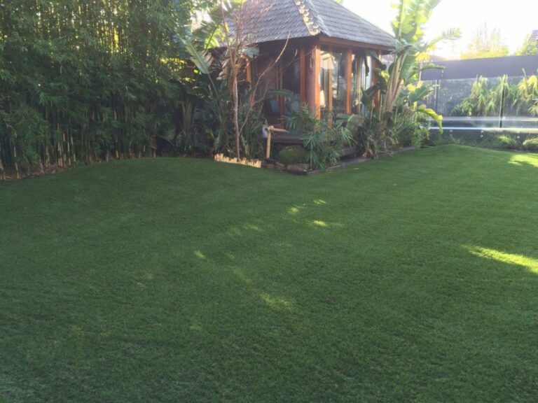 New turf Melbourne