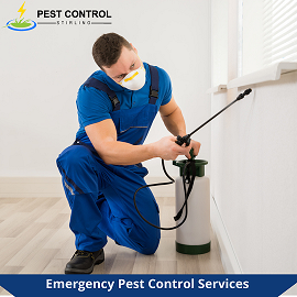 Pest Control Stirling