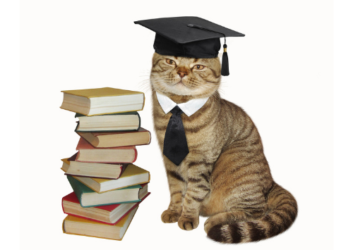 SEO education books