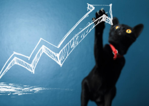 SEO services growth