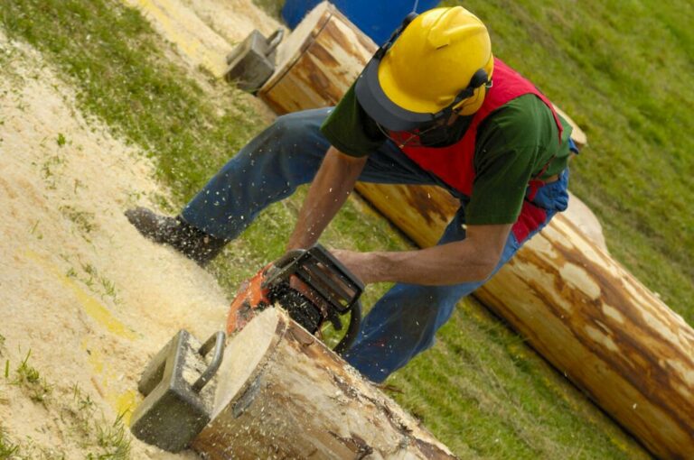 ace tree service tree removal 1 orig 768x510