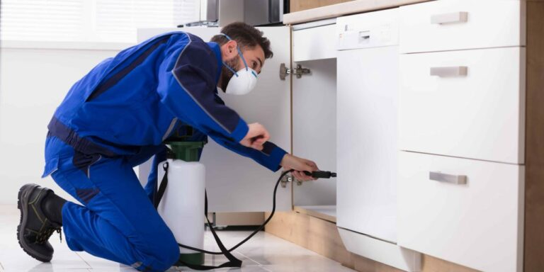 how to get rid of pests pest control service easy fast 768x384