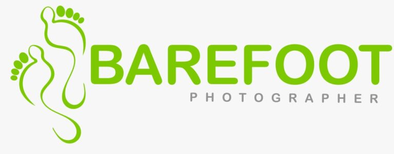 logo 20 768x301