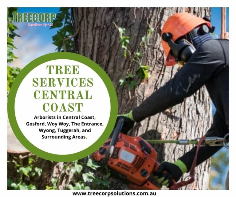 tree services central coast  768x644