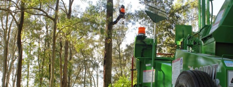 tree surgeon newcastle2 768x288