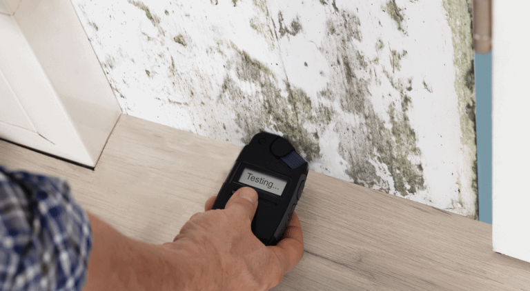 BH What is involved in a mould inspection  Do I need one  FI 768x422