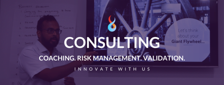 Consulting Services